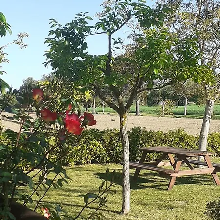 Silos Torrenova פוטנצה פיצ'נה