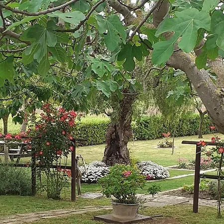 בית נופש Silos Torrenova