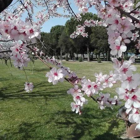 度假居 Silos Torrenova 波滕扎皮切纳