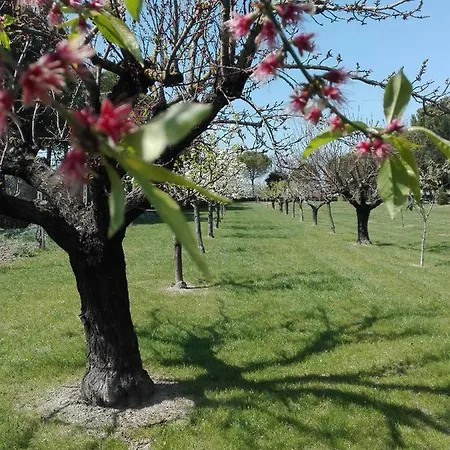 度假居 Silos Torrenova *