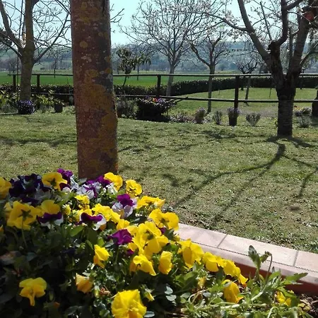 Silos Torrenova פוטנצה פיצ'נה