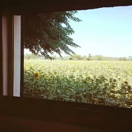 בית נופש Silos Torrenova *