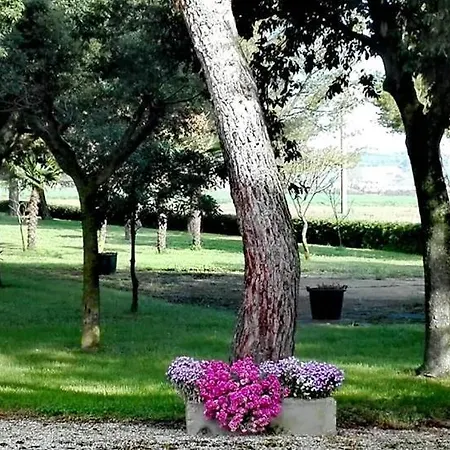 Silos Torrenova פוטנצה פיצ'נה