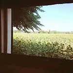 بيت للعطل Silos Torrenova *