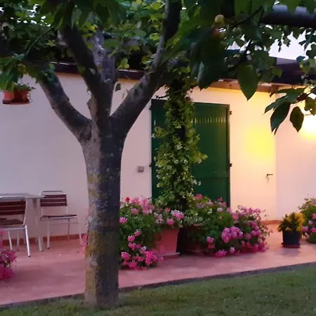 Silos Torrenova Potenza Picena