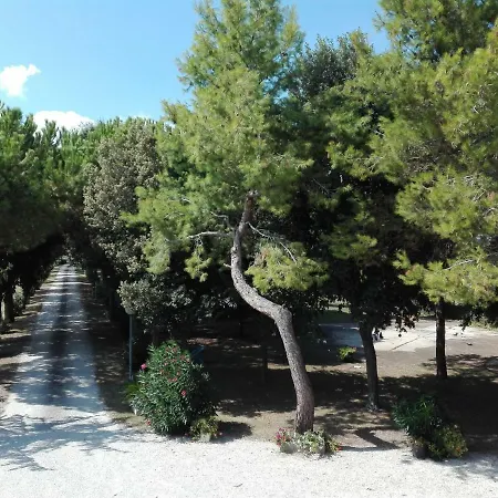 Silos Torrenova Potenza Picena
