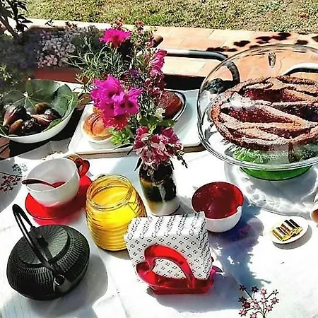 Silos Torrenova * Potenza Picena