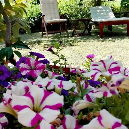 Casa vacanze Silos Torrenova Potenza Picena