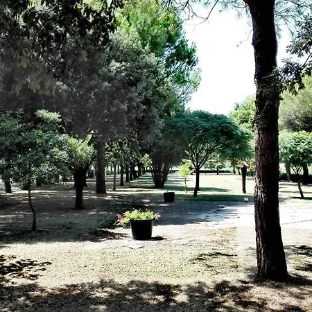 Casa vacanze Silos Torrenova *