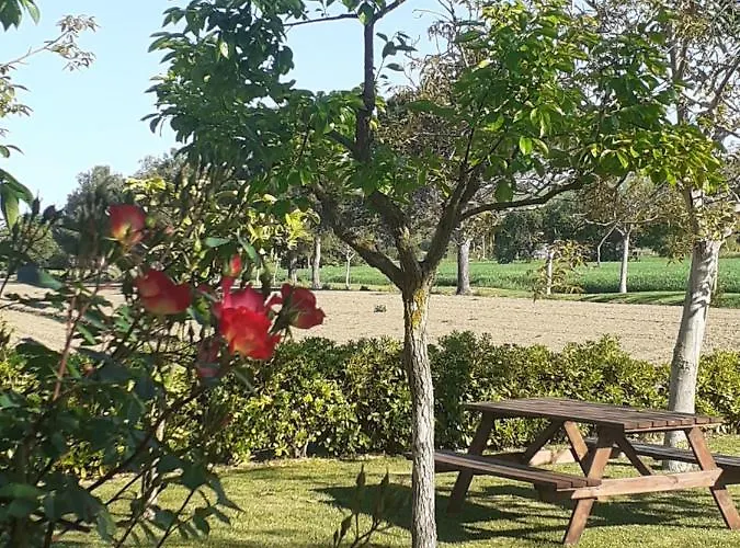 Silos Torrenova Potenza Picena