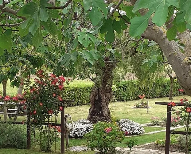 Σπίτι διακοπών Silos Torrenova