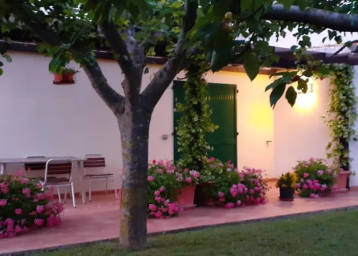 Silos Torrenova Potenza Picena