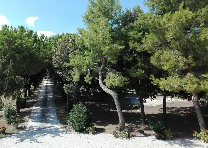 Silos Torrenova Potenza Picena