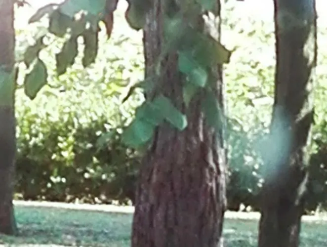 Σπίτι διακοπών Silos Torrenova *