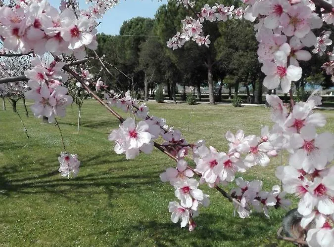Сasa de vacaciones Silos Torrenova Potenza Picena