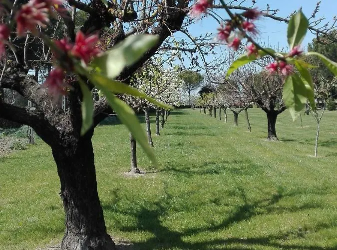 Σπίτι διακοπών Silos Torrenova *