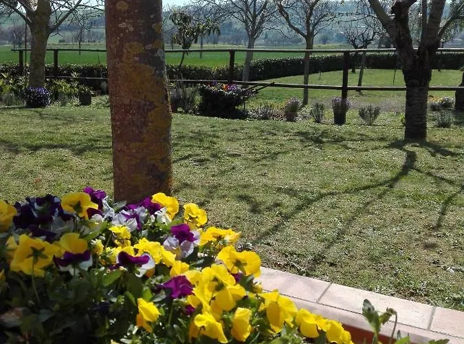 Silos Torrenova Potenza Picena