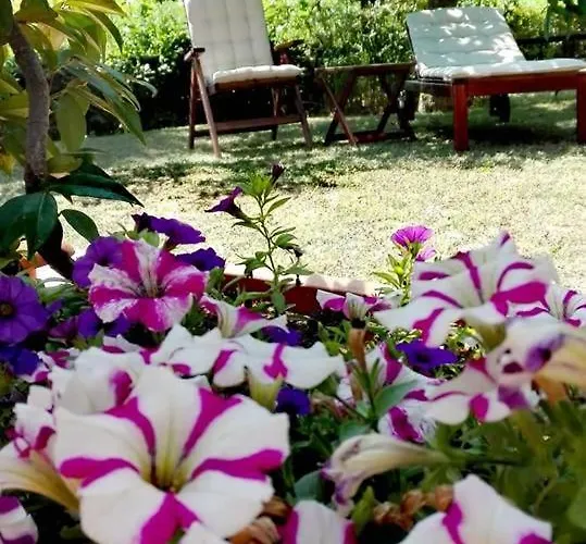 Σπίτι διακοπών Silos Torrenova Potenza Picena