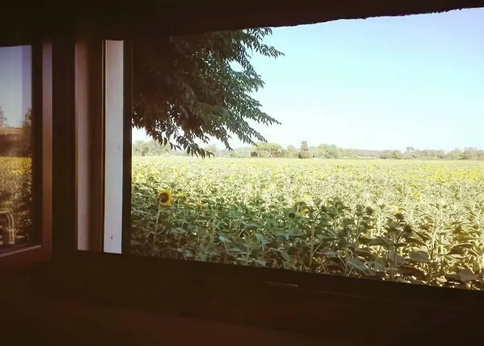 Сasa de vacaciones Silos Torrenova *