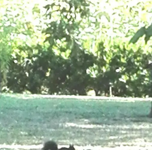 Silos Torrenova Σπίτι διακοπών